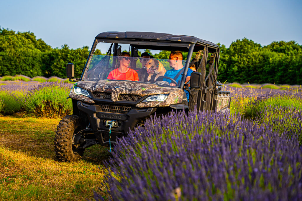 Buggy Safari