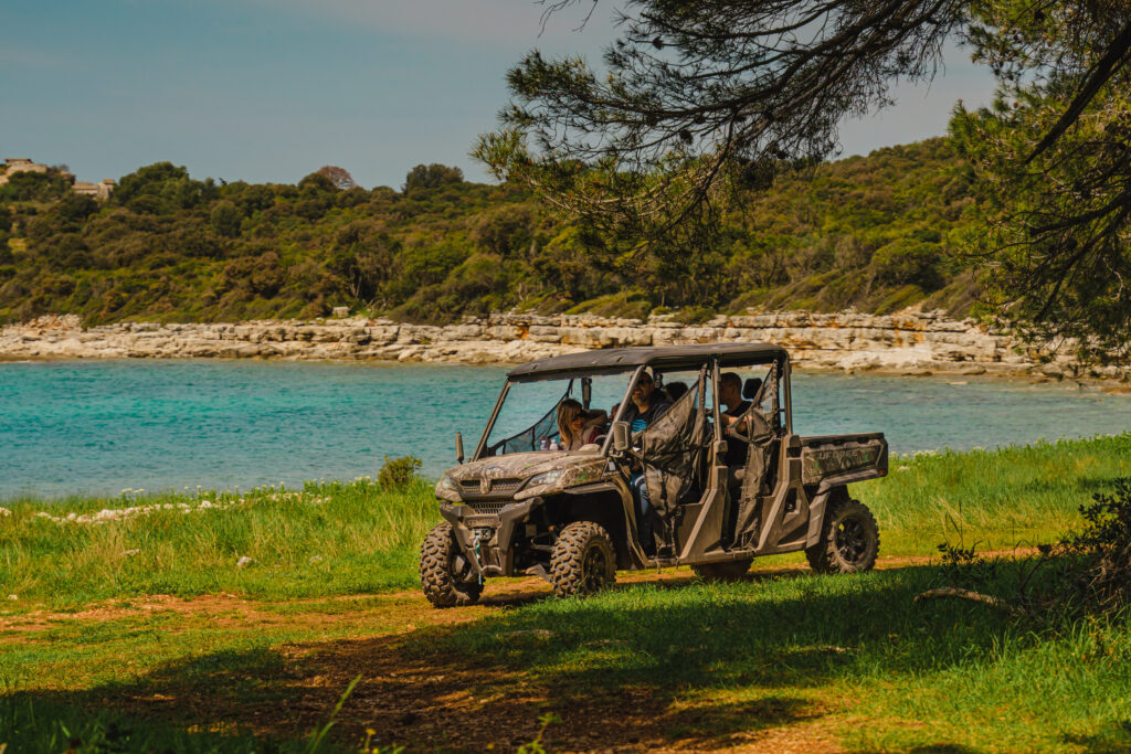 Buggy Safari