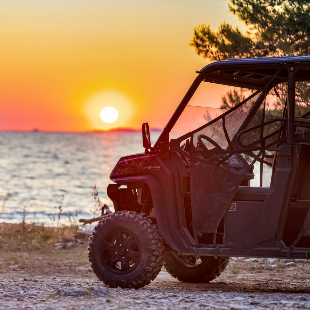 Buggy Safari