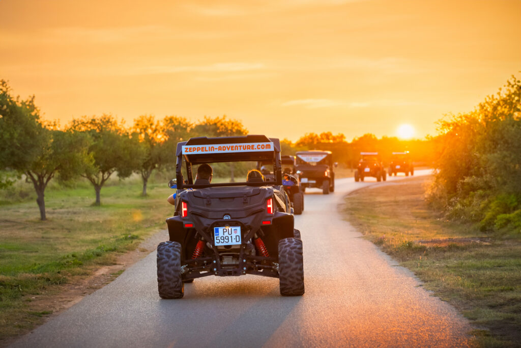 Buggy Safari